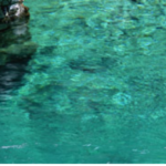 療法院(癒しの健康道場)の特長